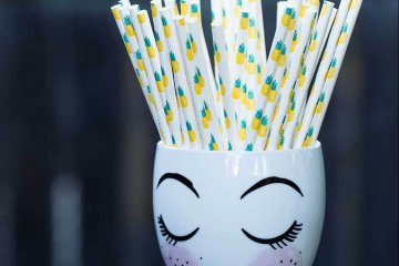 drive-swim-fly-california-pineapple-collection-paper-straws-cute-cup-target-pencil-holder