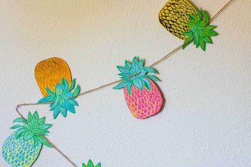 drive-swim-fly-california-pineapple-collection-banner-zig-zag