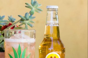drive-swim-fly-california-pineapple-collection-izze-pineapple-soda-glass-tumbler-glass