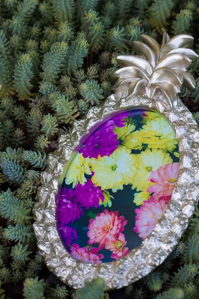 drive-swim-fly-california-pineapple-collection-succulent-picture-frame