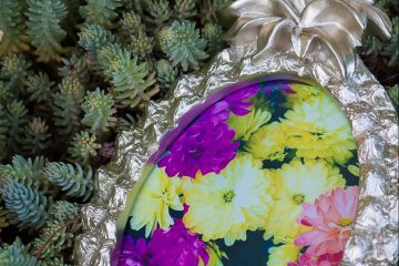 drive-swim-fly-california-pineapple-collection-succulent-picture-frame