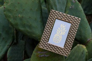 drive-swim-fly-california-pineapple-collection-cactus-pineapple-frame-shiny-dusk