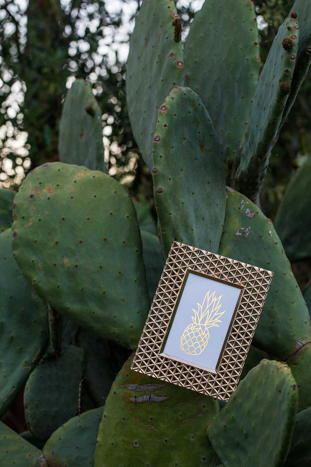 drive-swim-fly-california-pineapple-collection-cactus-pineapple-frame-shiny-dusk