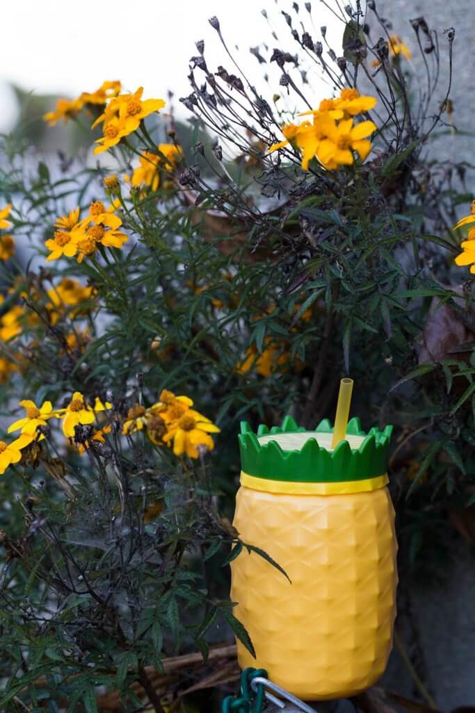 drive-swim-fly-california-pineapple-collection-daisies-pineapple-cup-dusk