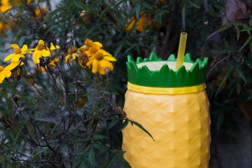 drive-swim-fly-california-pineapple-collection-daisies-pineapple-cup-dusk