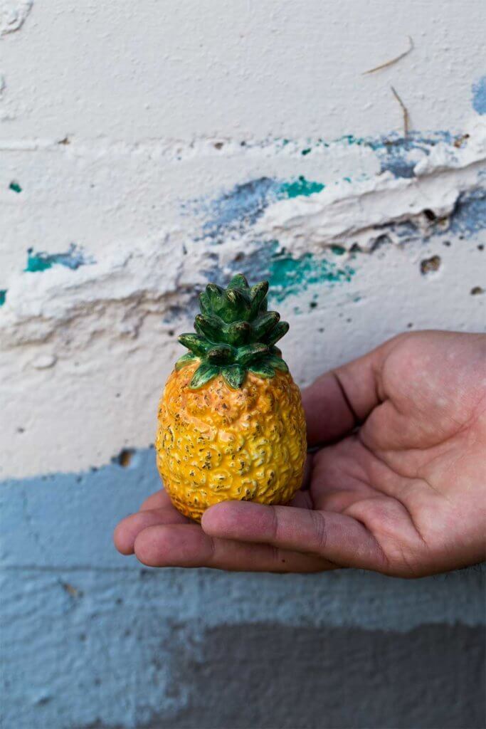 drive-swim-fly-california-pineapple-collection-salt-shaker-blue-wall-hand
