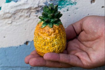 drive-swim-fly-california-pineapple-collection-salt-shaker-blue-wall-hand