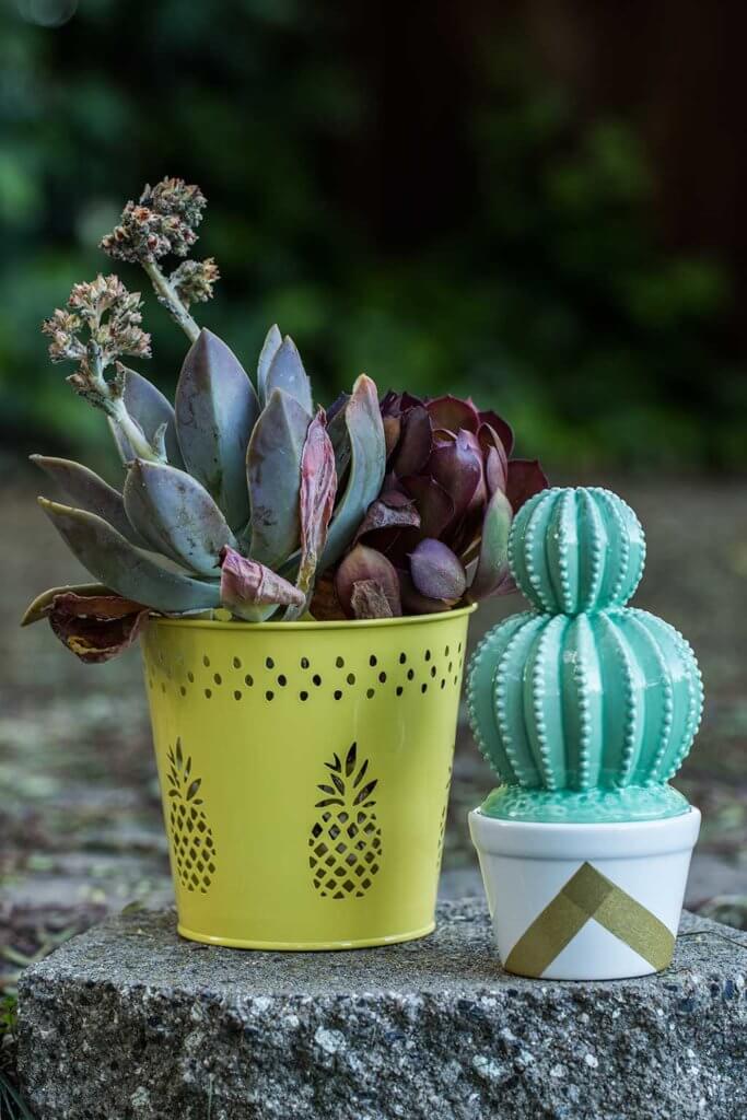 drive-swim-fly-california-pineapple-collection-succulent-pineapple-yellow-pot-fake-cactus