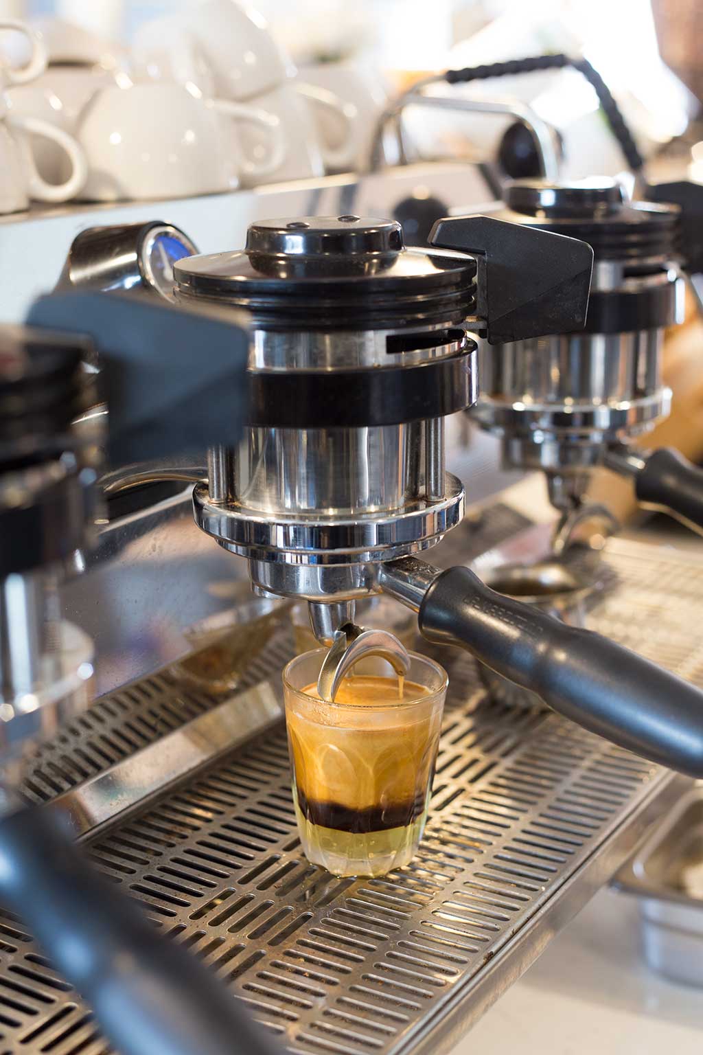 drive-swim-fly-monterey-california-water-and-leaves-honey-latte-espresso-machine