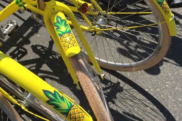 drive-swim-fly-seattle-washington-portland-oregon-vacation-2015-selfietrip-city-bikes-pineapple
