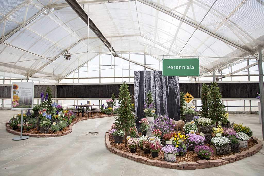 drive-swim-fly-california-spring-trials-gilroy-perennials-redwood-forest