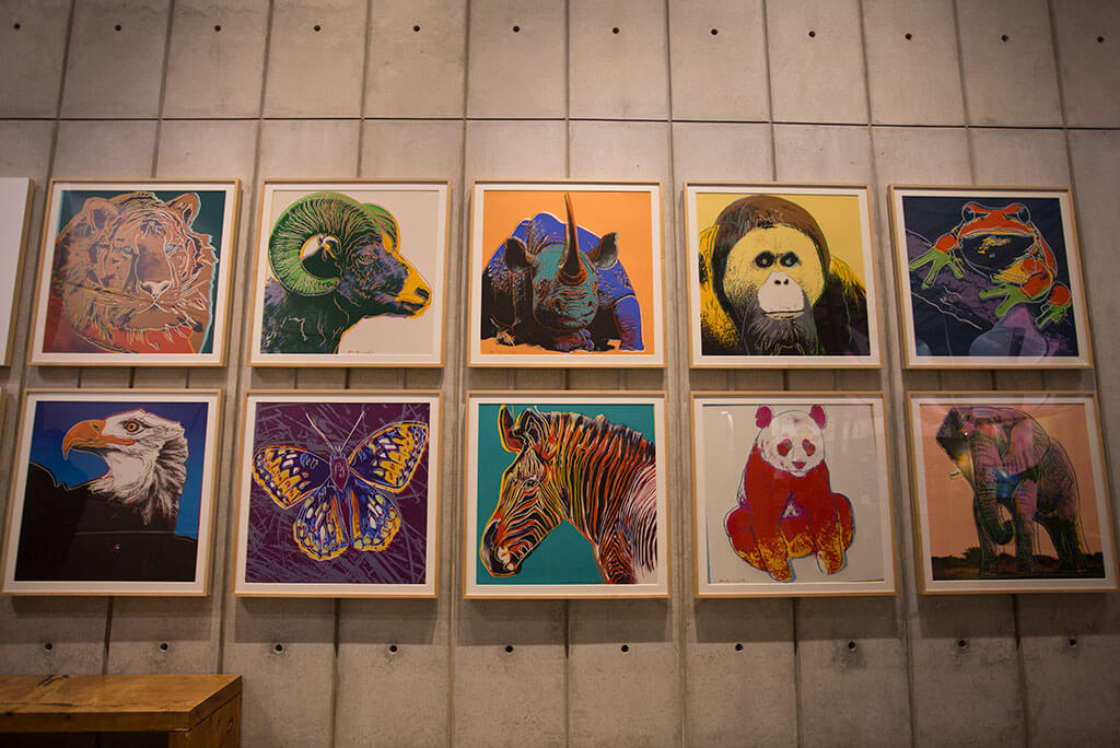 drive-swim-fly-california-academy-of-sciences-san-francisco-nitelife-adult-museum-night-animal-pop-art