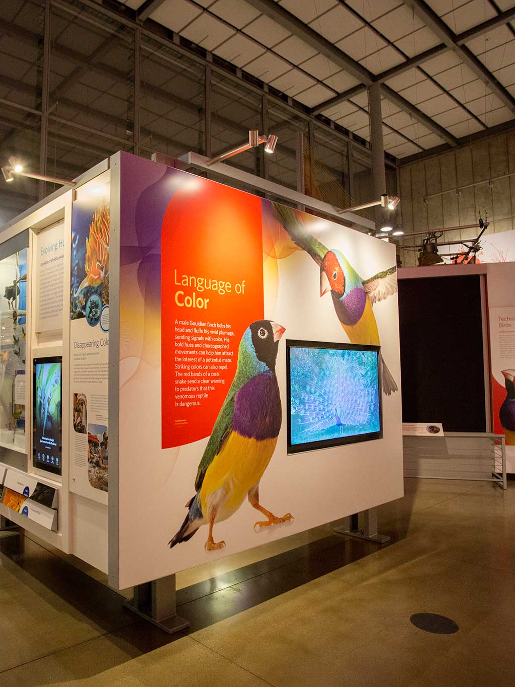drive-swim-fly-california-academy-of-sciences-san-francisco-nitelife-adult-museum-night-birds-language-of-color