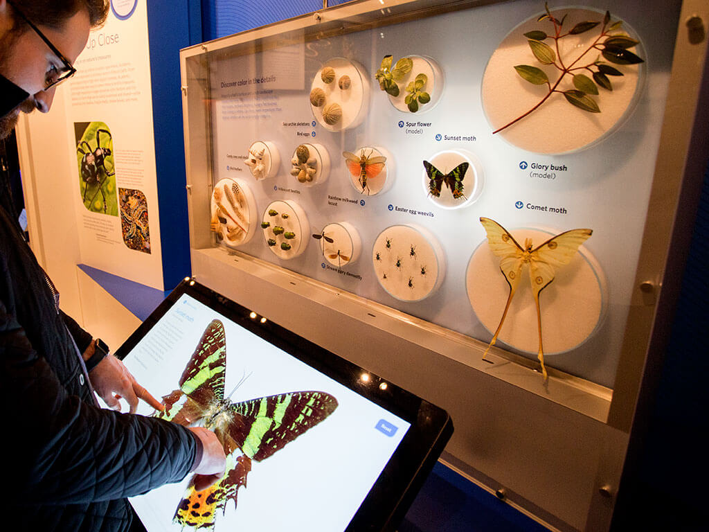 drive-swim-fly-california-academy-of-sciences-san-francisco-nitelife-adult-museum-night-butterflies-life-cycle