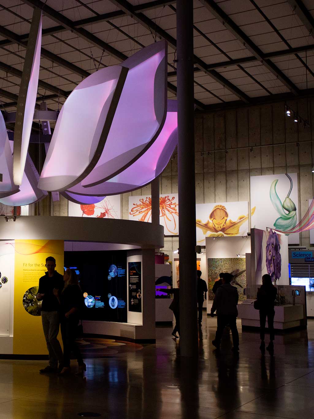 drive-swim-fly-california-academy-of-sciences-san-francisco-nitelife-adult-museum-night-color-of-life