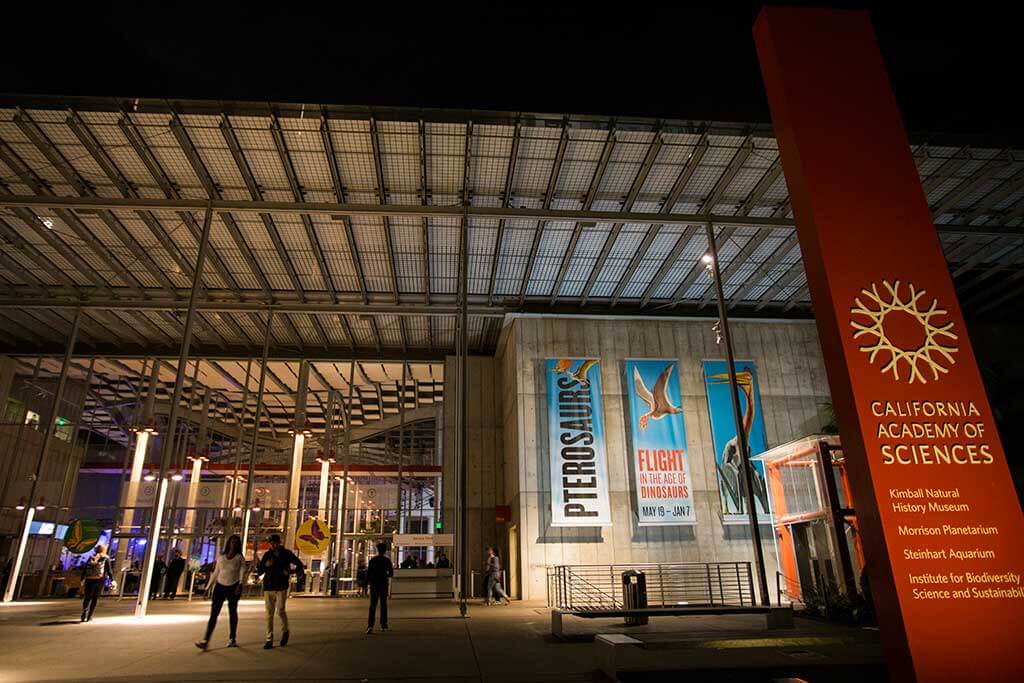 drive-swim-fly-california-academy-of-sciences-san-francisco-nitelife-adult-museum-night-front-building