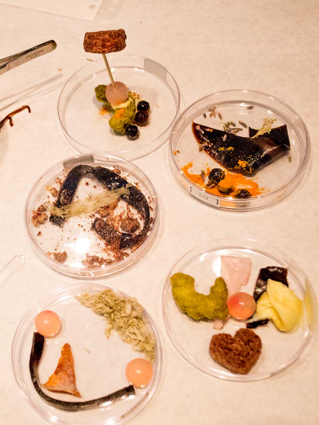 drive-swim-fly-california-academy-of-sciences-san-francisco-nitelife-adult-museum-night-future-food-samples