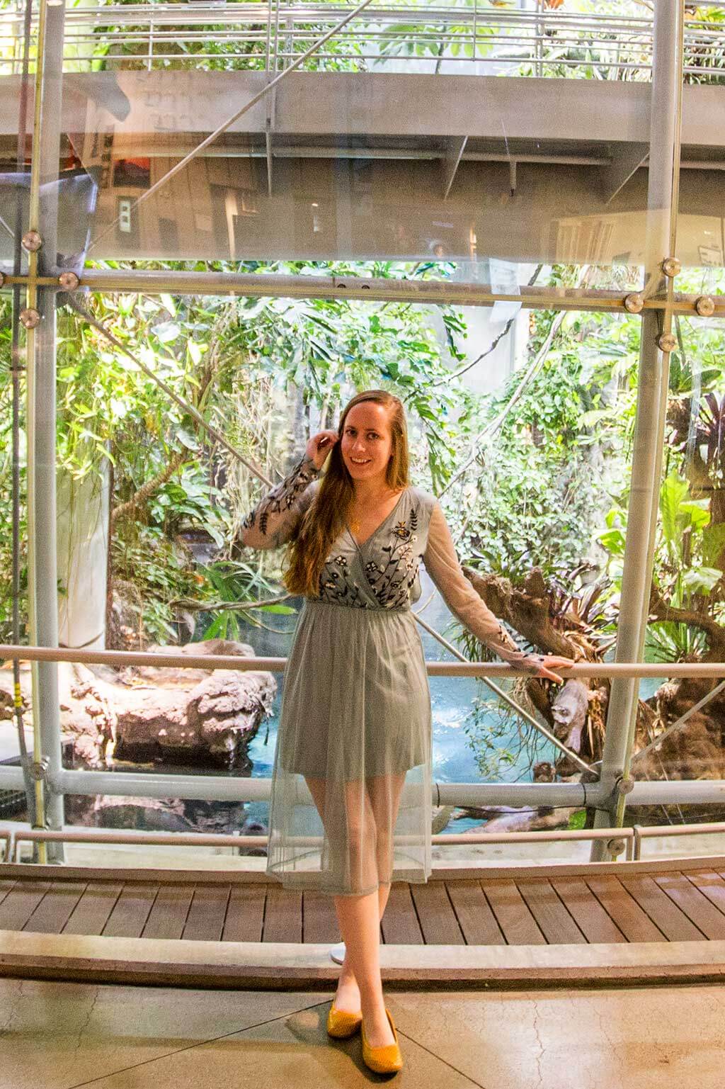 drive-swim-fly-california-academy-of-sciences-san-francisco-nitelife-adult-museum-night-rainforest-selfie