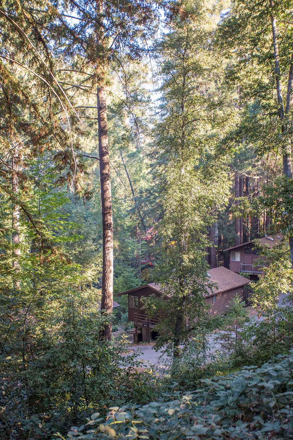 drive-swim-fly-california-mount-hermon-christian-retreat-camp-outdoor-cabin-in-woods-mountain