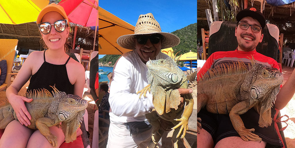 drive-swim-fly-mexican-riviera-cruise-los-angeles-mazatlan-cabo-san-lucas-puerto-vallarta-norwegian-cruise-lines-mexico-yelapa-majahuitas-pedro-iguana