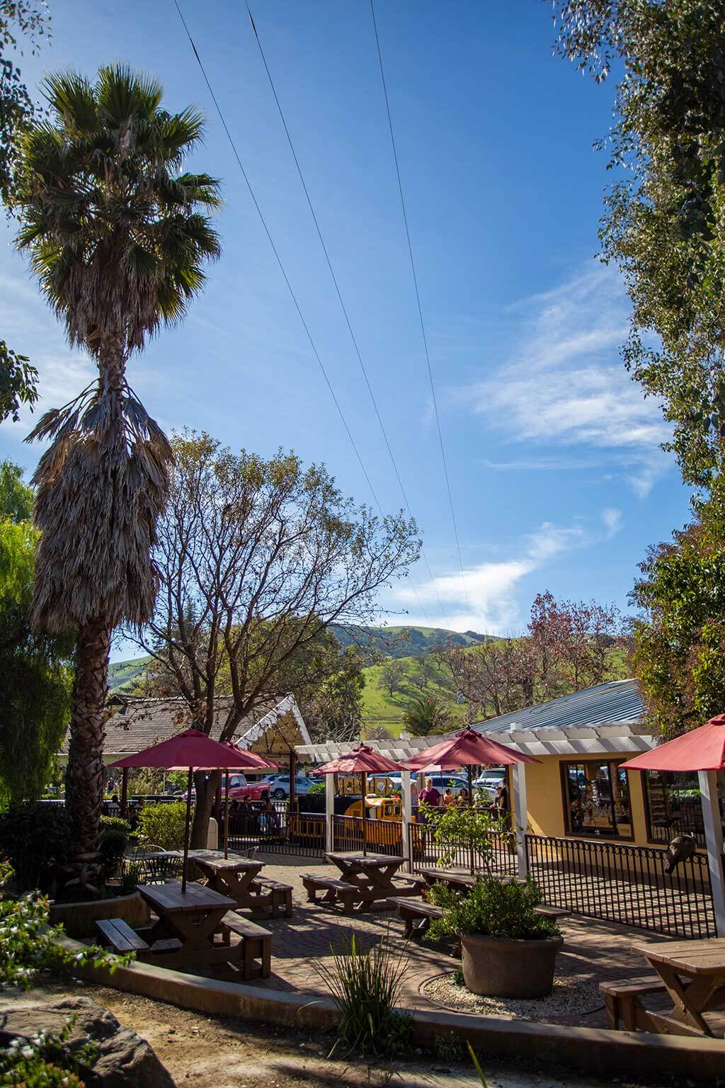 drive-swim-fly-california-casa-de-fruita-roadside-attraction-pacheco-pass-highway-pit-stop-hills-picnic-area