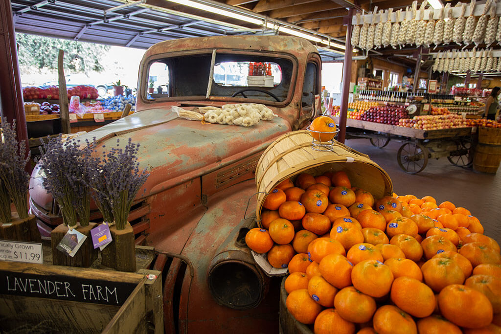 drive-swim-fly-california-casa-de-fruita-roadside-attraction-pacheco-pass-highway-pit-stop-oranges-antique-truck