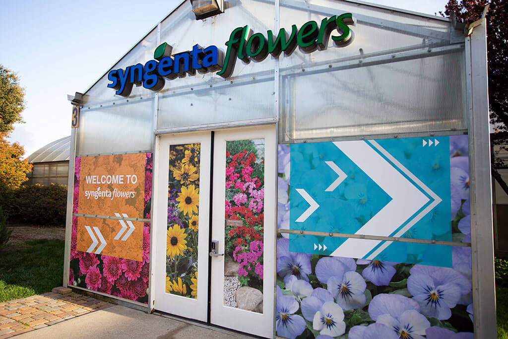 drive-swim-fly-syngenta-flowers-california-spring-trials-gilroy-california-2019-main-entrance-greenhouse