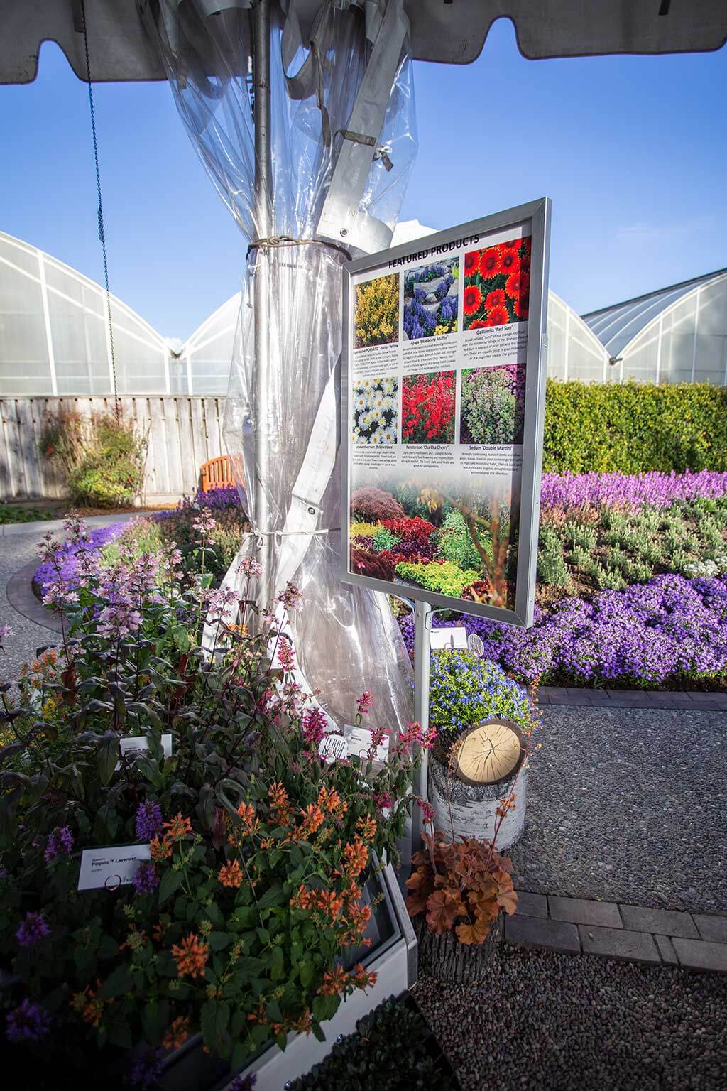 drive-swim-fly-syngenta-flowers-california-spring-trials-gilroy-california-2019-outside-greenhouse