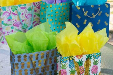 drive-swim-fly-pineapple-collection-gift-bags-party