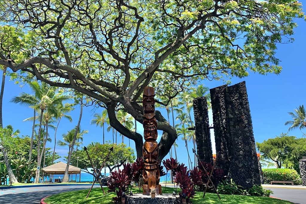 drive-swim-fly-hawaii-big-island-kona-coast-royal-kona-resort-tree