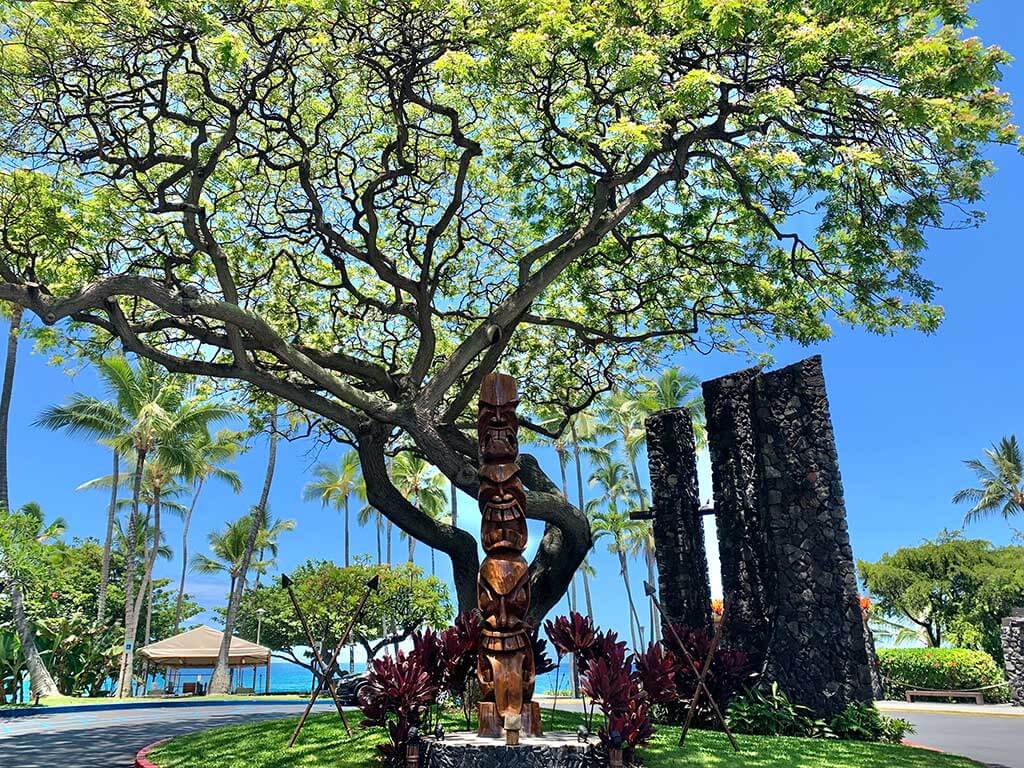 drive-swim-fly-hawaii-big-island-kona-coast-royal-kona-resort-tree