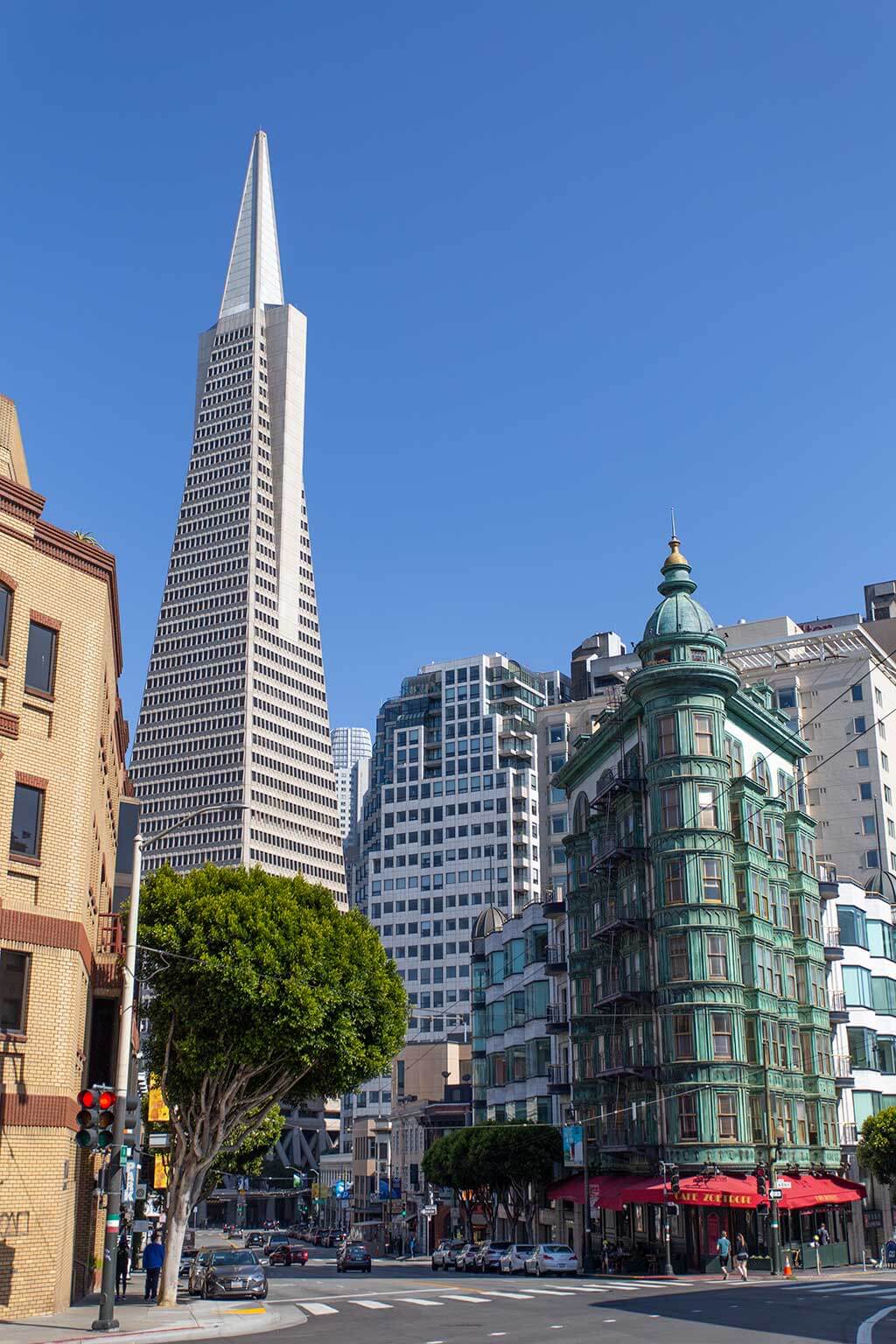 drive-swim-fly-san-francisco-avital-food-tour-north-beach-little-italy-transamerica-pyramid-downtown