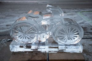 drive-swim-fly-downers-grove-chicago-illinois-ice-sculpture-downtown-businesses-bicycle-bike