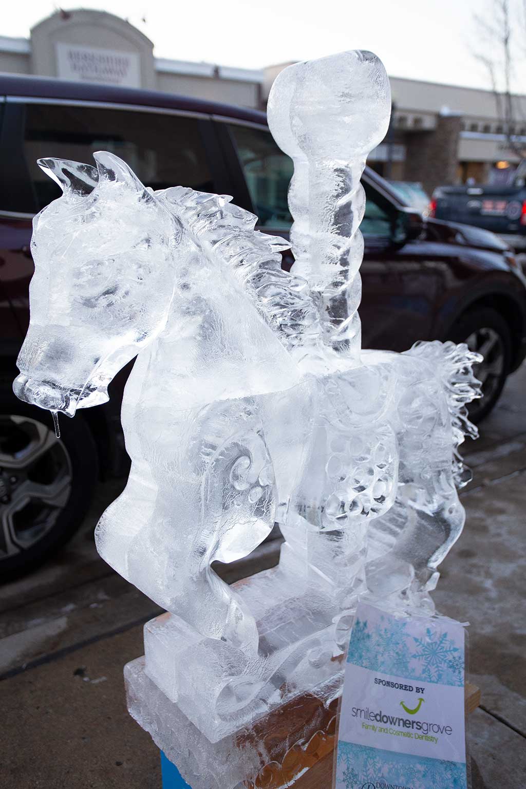 drive-swim-fly-downers-grove-chicago-illinois-ice-sculpture-downtown-businesses-carousel-horse