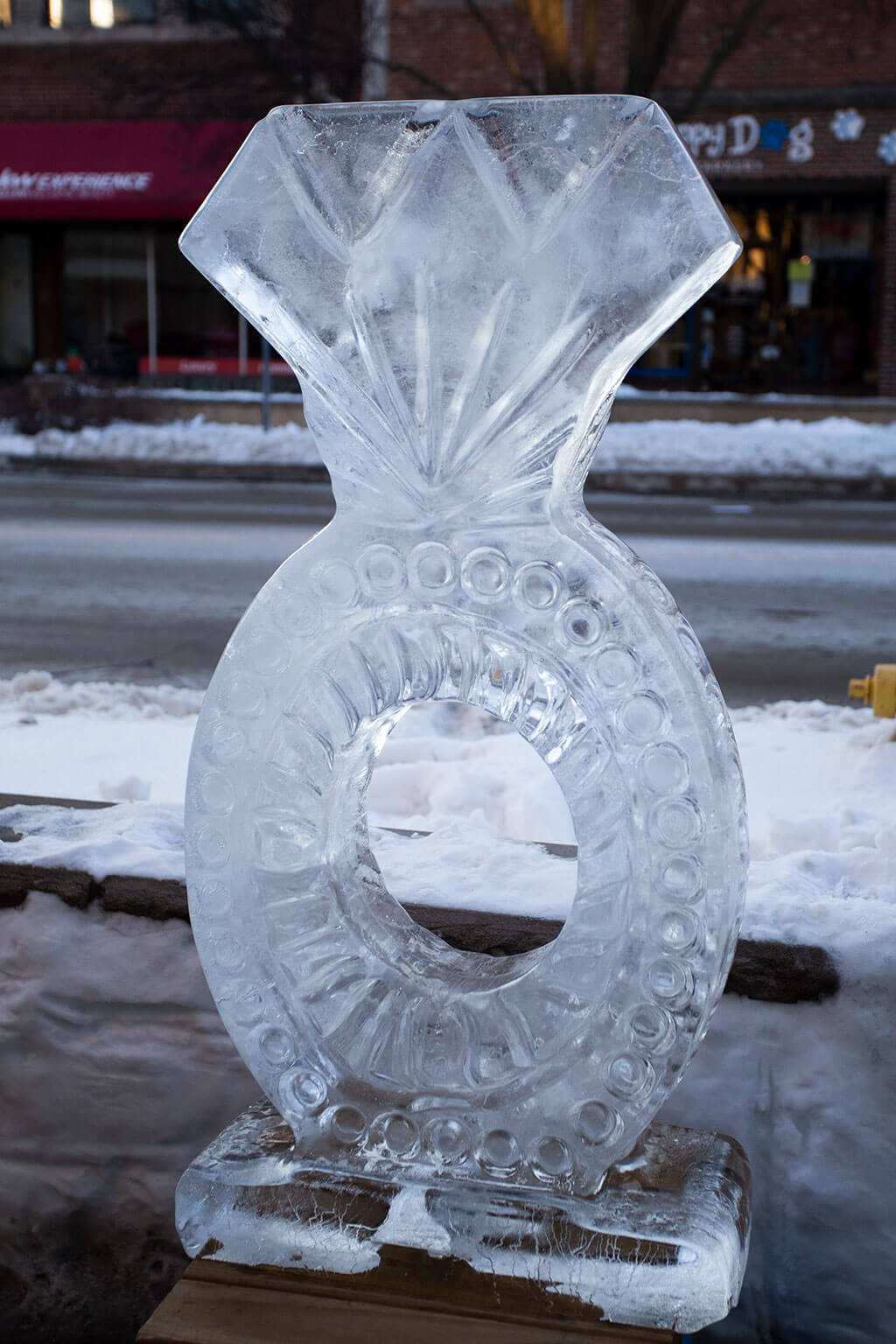 drive-swim-fly-downers-grove-chicago-illinois-ice-sculpture-downtown-businesses-diamond-ring