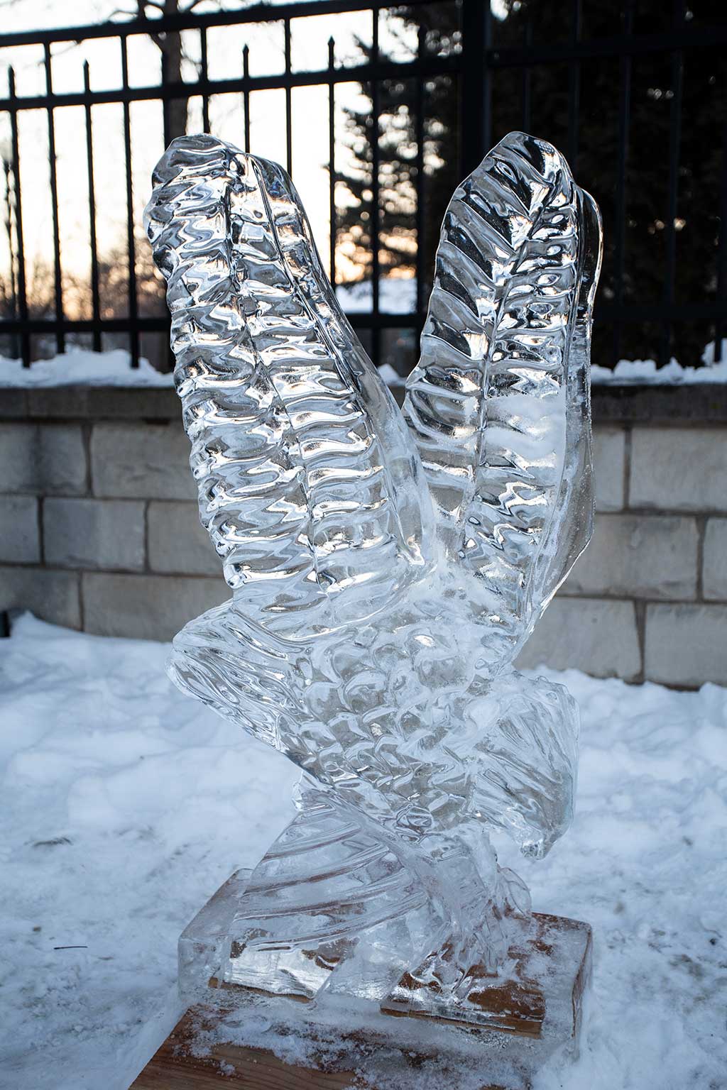 drive-swim-fly-downers-grove-chicago-illinois-ice-sculpture-downtown-businesses-eagle