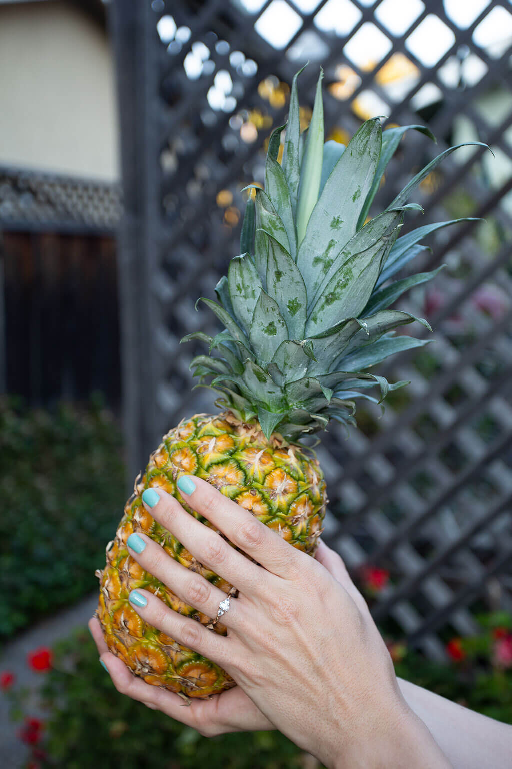 drive-swim-fly-pineapple-collection-real-fruit-holding-pineapple-hands-engagement-ring-wedding-ring-outdoors-backyard