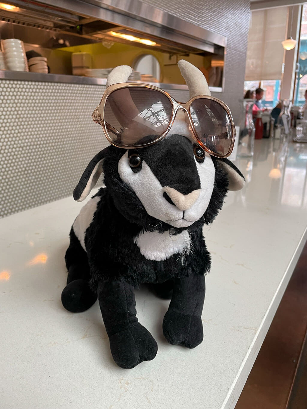 drive-swim-fly-chicago-illinois-little-goat-diner-breakfast-brunch-black-goat-stuffed-animal
