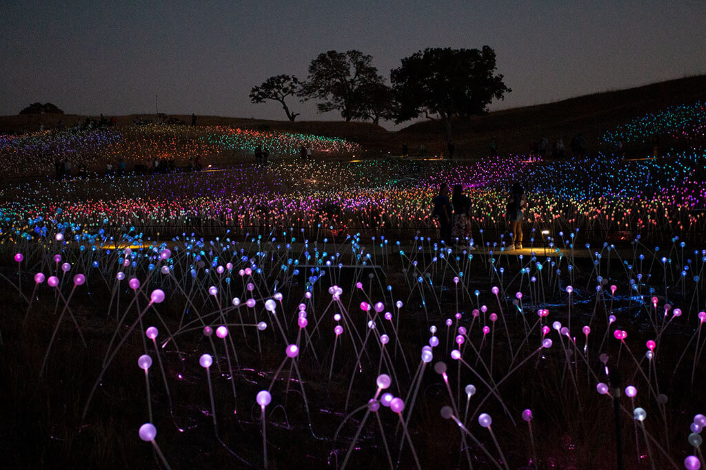 drive-swim-fly-paso-robles-california-sensorio-experience-bruce-munro-led-lights-art-installation-gallery-nature-field-of-light-10