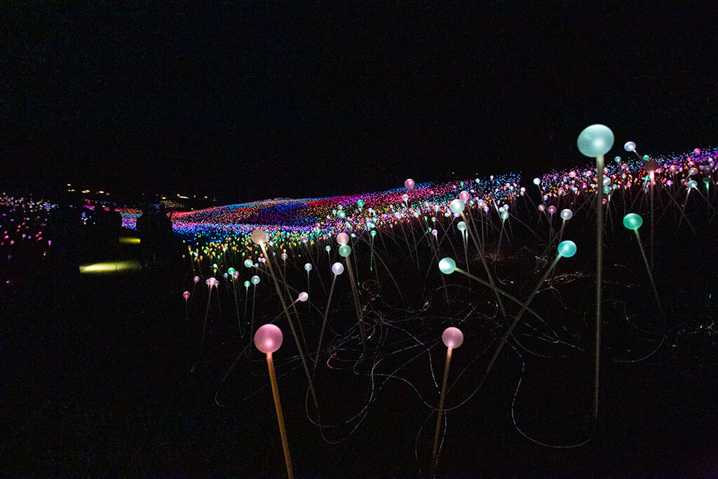 drive-swim-fly-paso-robles-california-sensorio-experience-bruce-munro-led-lights-art-installation-gallery-nature-field-of-light-2