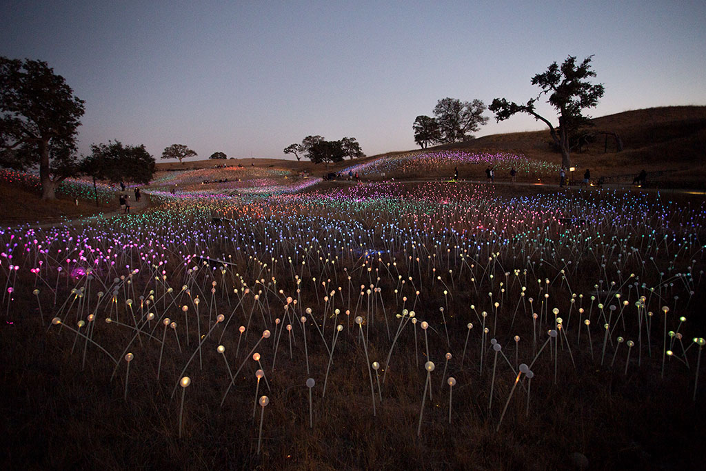 drive-swim-fly-paso-robles-california-sensorio-experience-bruce-munro-led-lights-art-installation-gallery-nature-field-of-light-daytime