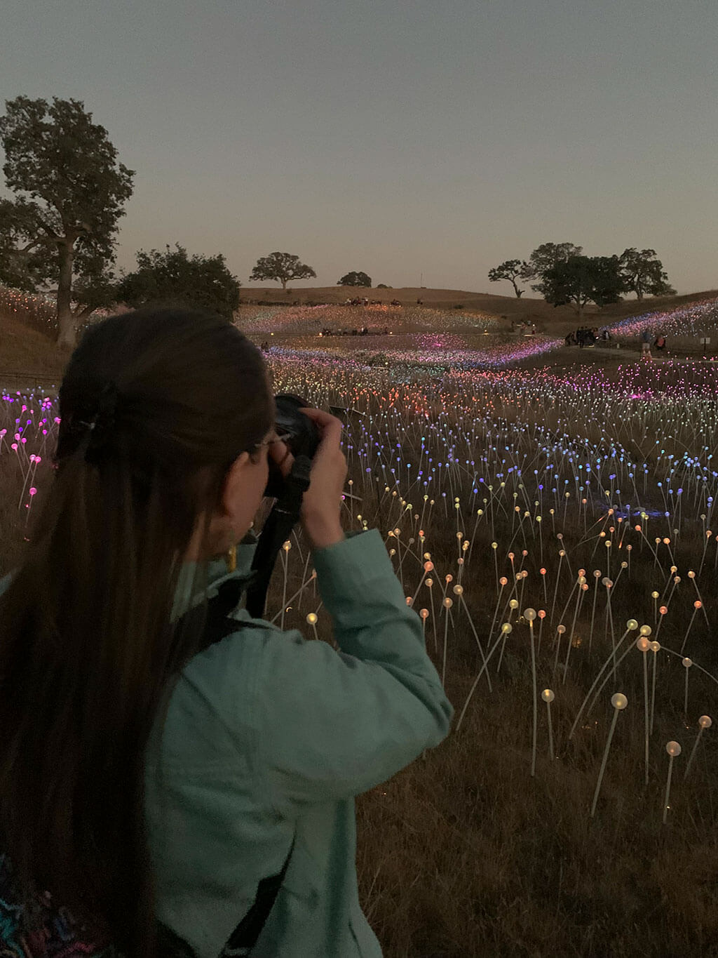 drive-swim-fly-paso-robles-california-sensorio-experience-bruce-munro-led-lights-art-installation-gallery-nature-field-of-light-taking-photos