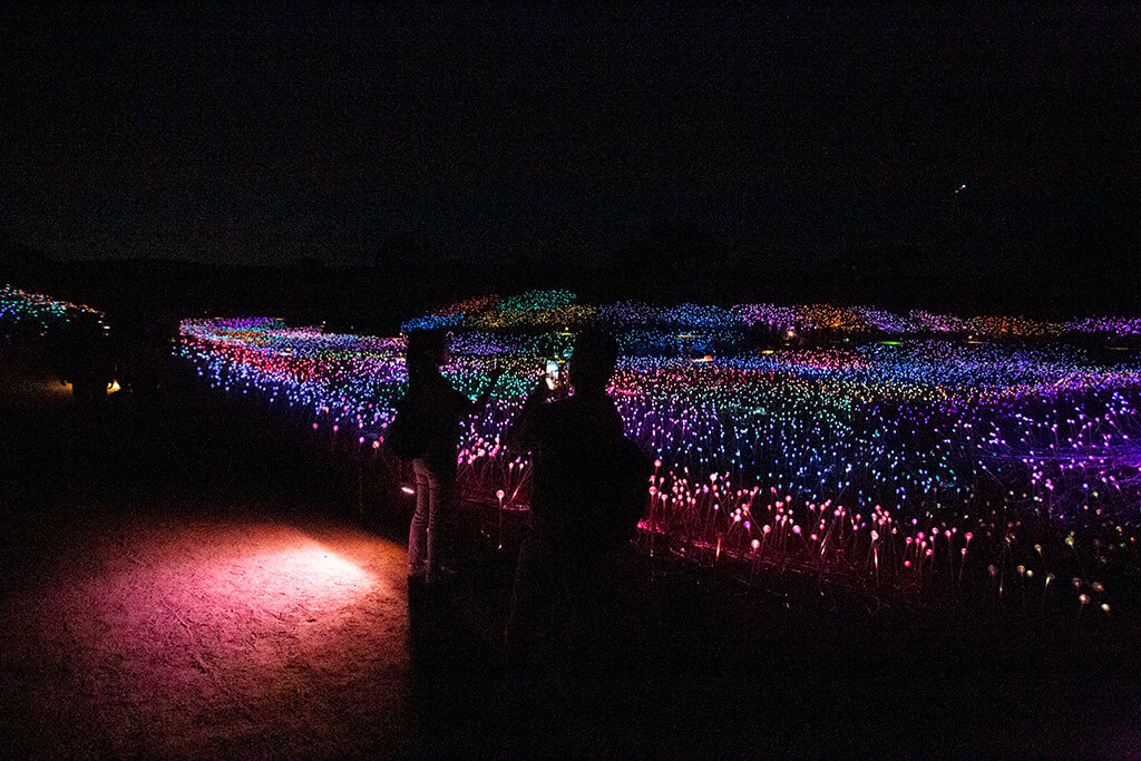 drive-swim-fly-paso-robles-california-sensorio-experience-bruce-munro-led-lights-art-installation-gallery-nature-field-of-light-walkway