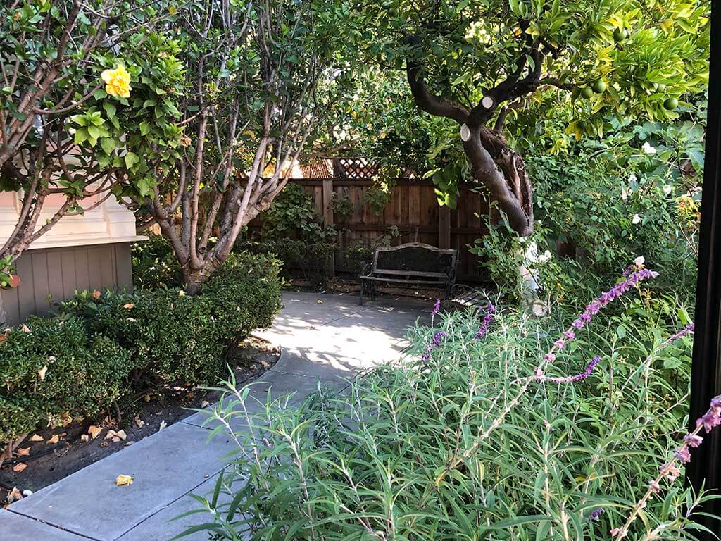 drive-swim-fly-san-luis-obispo-california-central-coast-garden-street-inn-patio