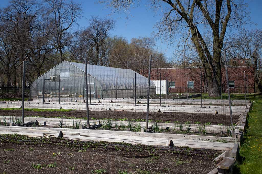 drive-swim-fly-chicago-windy-city-lions-club-urban-autism-solutions-garden-hoop-house-greenhouse-plants