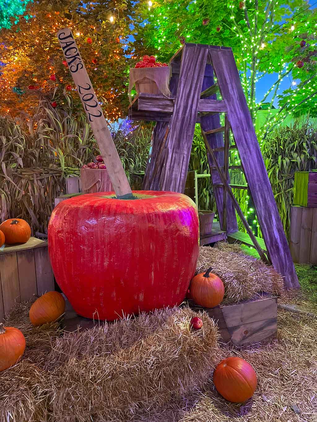 drive-swim-fly-chicago-illinois-jacks-pumpkin-pop-up-pumpkin-patch-selfie-red-candy-apple