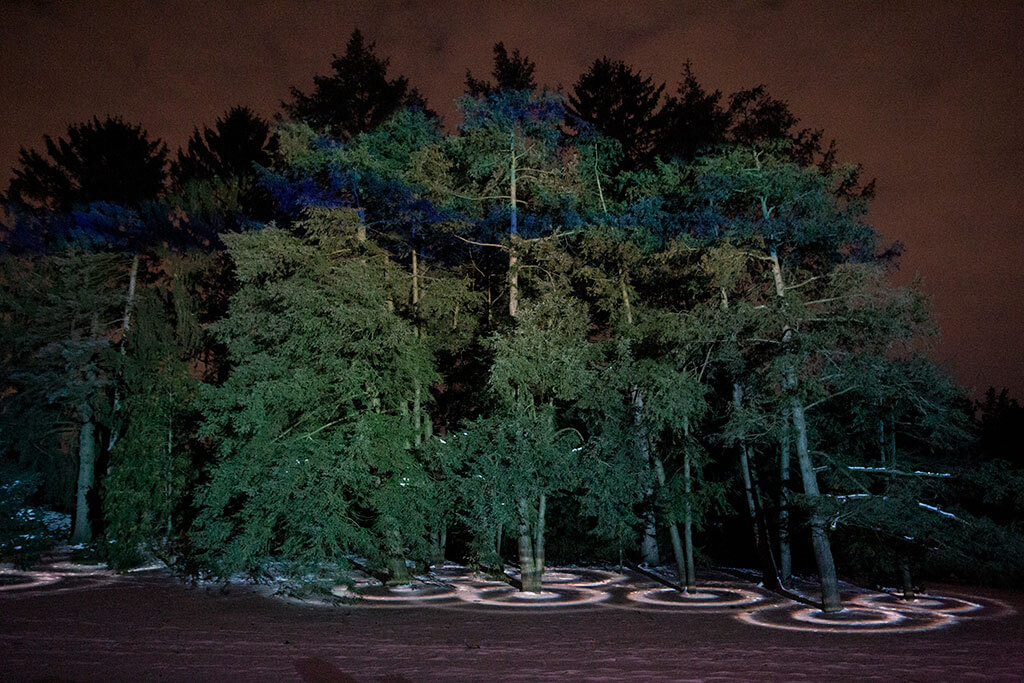 drive-swim-fly-lisle-illinois-morton-arboretum-illumination-holiday-lights-winter-celebration-forest-projector-rings