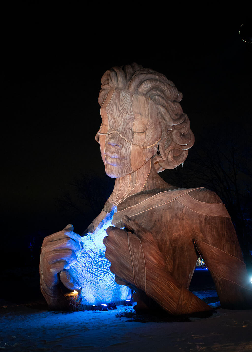 drive-swim-fly-lisle-illinois-morton-arboretum-illumination-holiday-lights-winter-celebration-hallow-statue