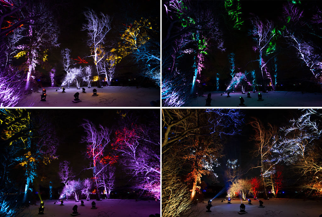 drive-swim-fly-lisle-illinois-morton-arboretum-illumination-holiday-lights-winter-celebration-spotlights