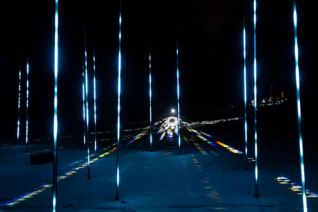 drive-swim-fly-lisle-illinois-morton-arboretum-illumination-holiday-lights-winter-celebration-sticks
